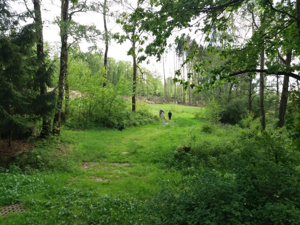 Natur_Wirkung_psychische_Gesundheit_Entspannung_Nervensystem Zeit in der Natur hat eine positive Wirkung auf das mentale Wohlbefinden