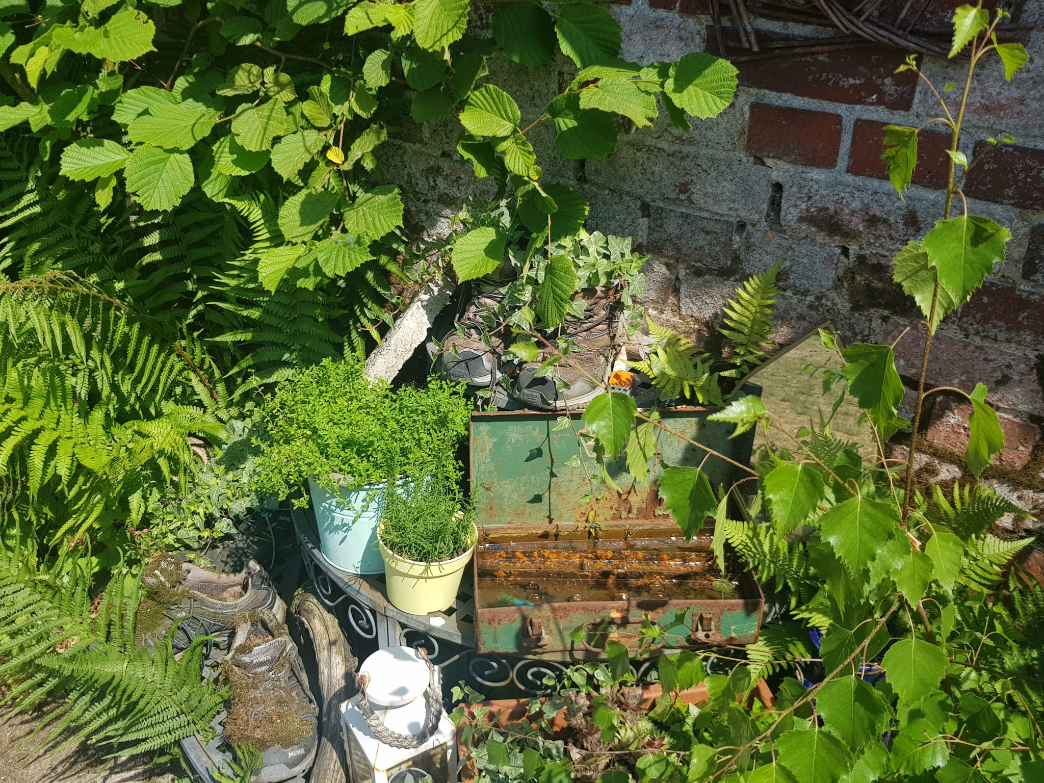 Beratung hilft auch Angehörigen von Menschen mit psychischen Krisen