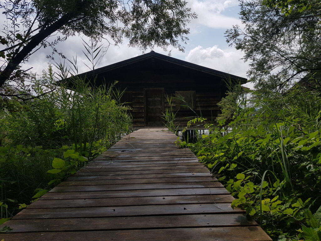 den eigenen Weg der Selbsthilfe finden